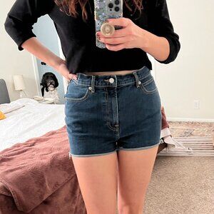 Everlane The Way-High Denim Short